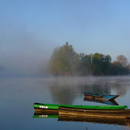 Escale De Loire Bed & Breakfast Chouze-sur-Loire Luaran gambar