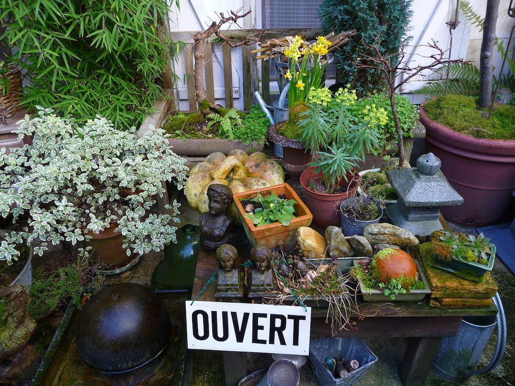 Escale De Loire Bed & Breakfast Chouze-sur-Loire Luaran gambar