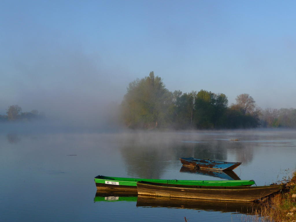 Escale De Loire Bed & Breakfast Chouze-sur-Loire Luaran gambar