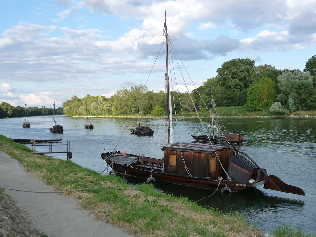 Escale De Loire Bed & Breakfast Chouze-sur-Loire Luaran gambar